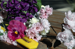 flowers and blade